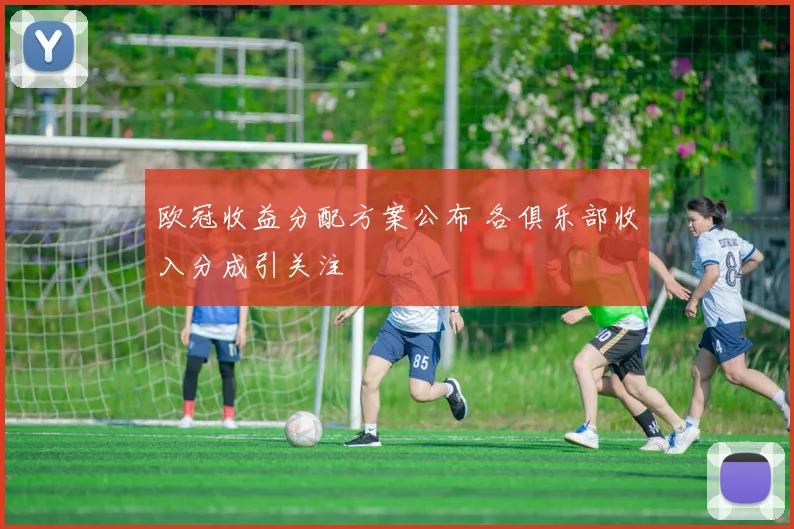 欧冠收益分配方案公布 各俱乐部收入分成引关注