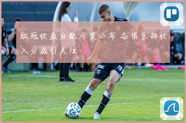 欧冠收益分配方案公布 各俱乐部收入分成引关注