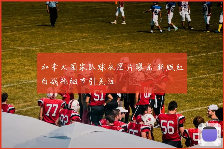 加拿大国家队球衣图片曝光 新版红白战袍细节引关注